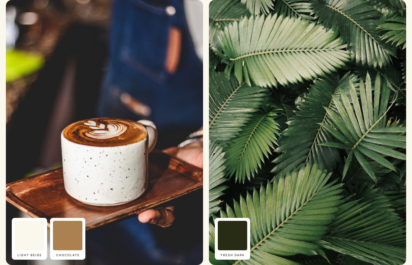 colour palette