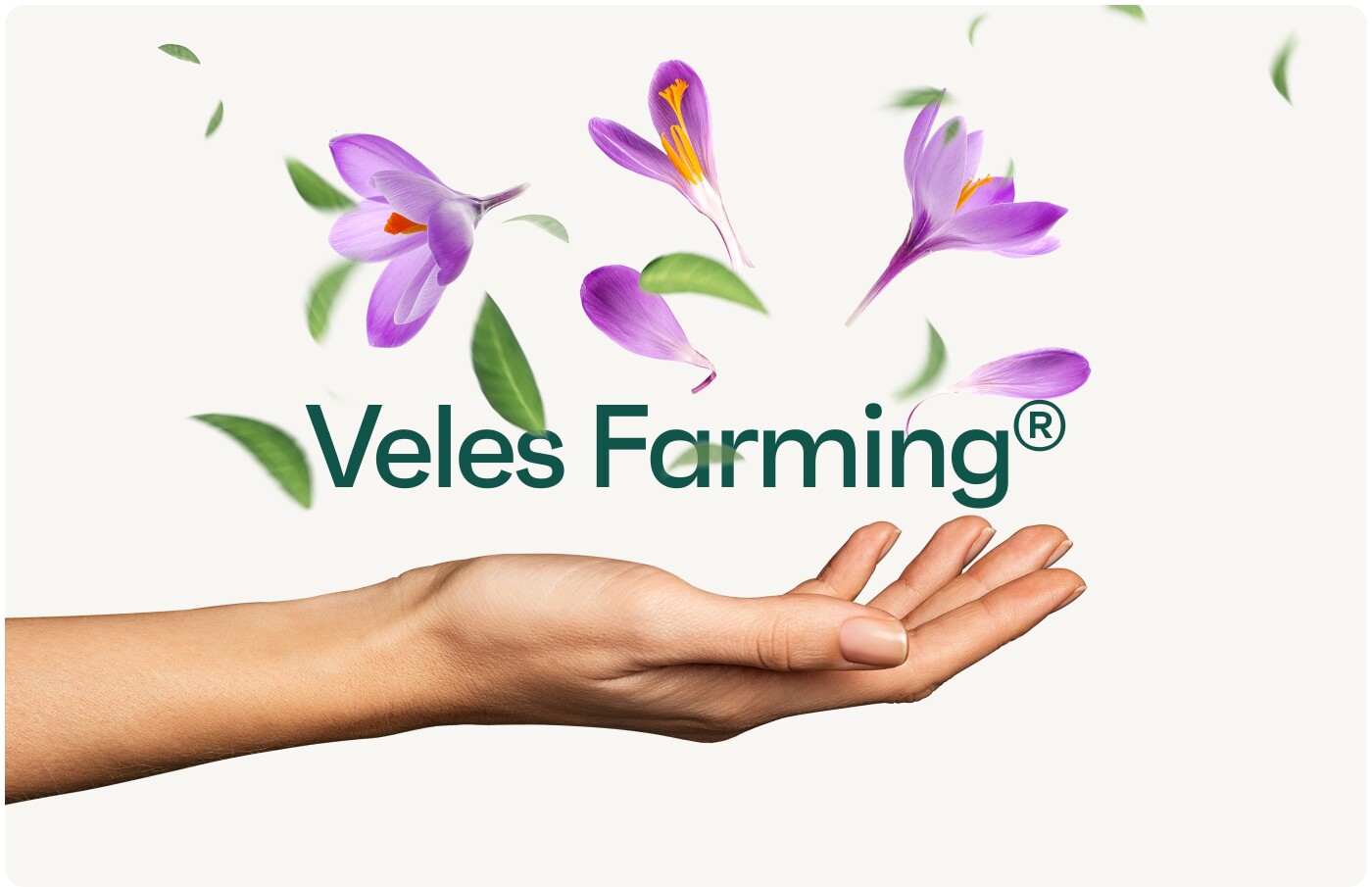 Veles Farming case study artwork